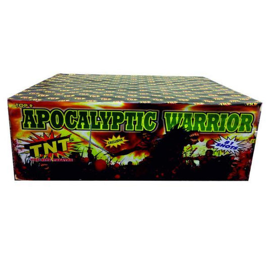 Apocalyptic Warrior